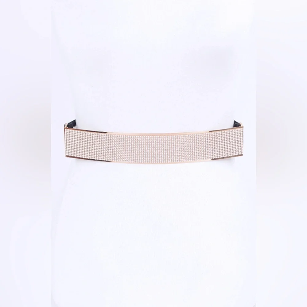 Rhinestone Metallic Plaque Elastic Statement Belt - Picture 7 of 7